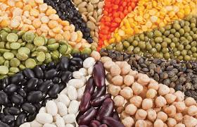 Pulses & Grains